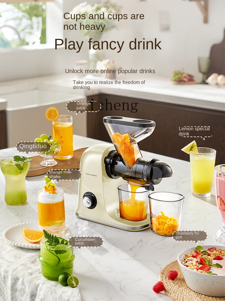 cc28 Low Speed Juicer Juicer S - Juicer review and price