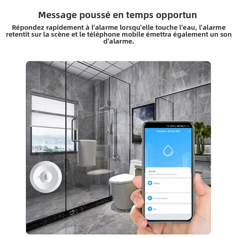 Tuya ZigBee Smart Water Leak S - Kitchen Appliances Video review and price