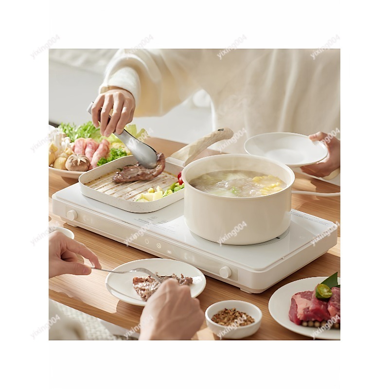 2026 New Double Induction Cook - Induction Cooker review and price