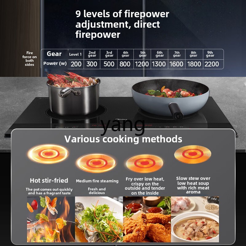 CX  induction cooker double st - Induction Cooker review and price