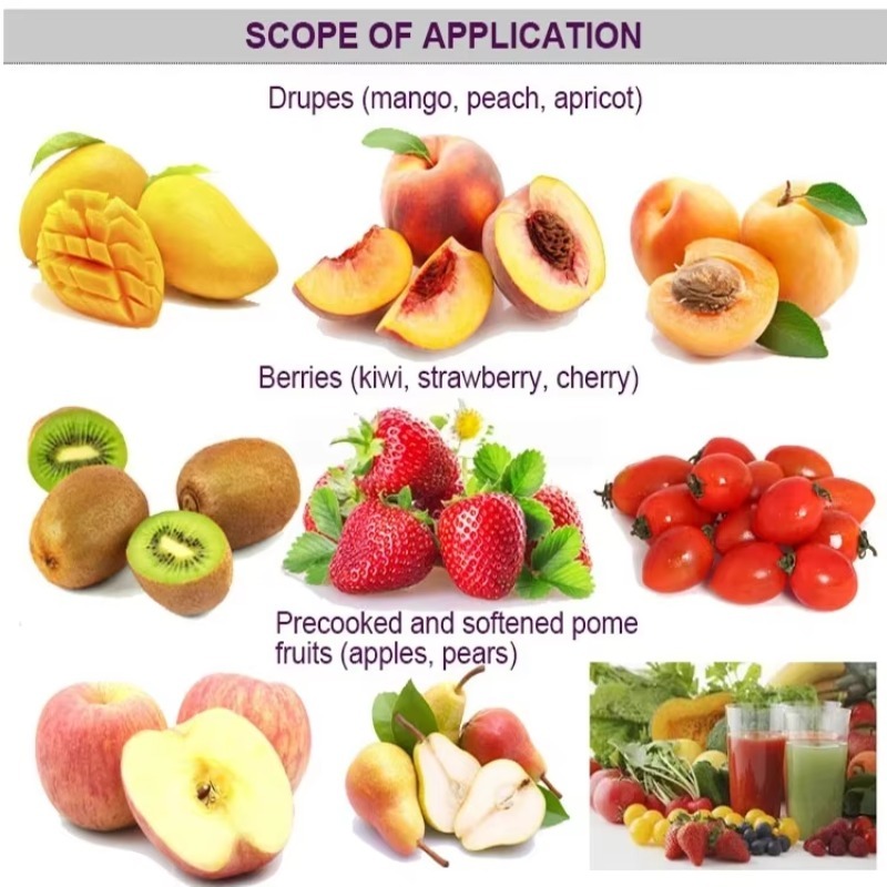 Orange Juicer/fruit and Vegeta - Juicer review and price