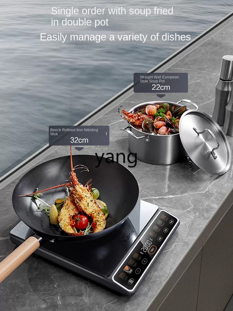 LMM High-Power 2200W Household - Induction Cooker review and price